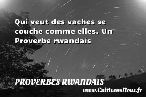 Qui veut des vaches se couche comme elles. Un Proverbe rwandais PROVERBES RWANDAIS