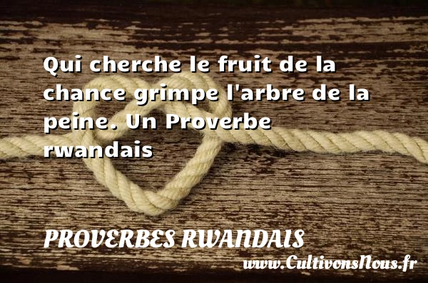 Qui cherche le fruit de la chance grimpe l’arbre de la - Proverbes rwandais - Proverbes connus - Proverbes philosophiques
