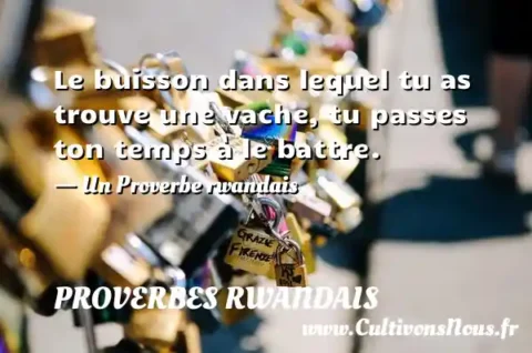 Le buisson dans lequel tu as trouve une vache, tu passes ton temps à le battre. - Un Proverbe rwandais PROVERBES RWANDAIS