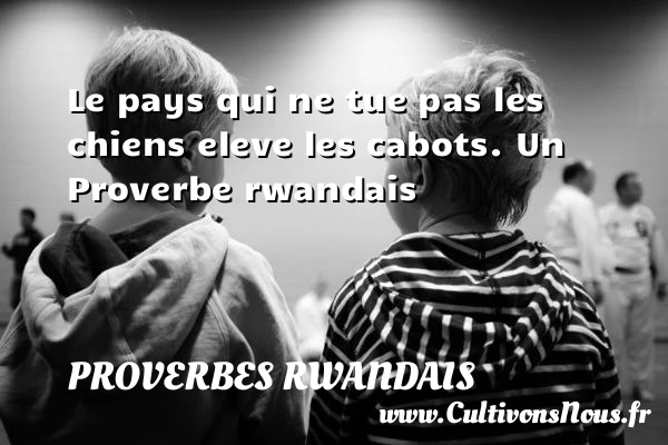 Le pays qui ne tue pas les chiens eleve les - Proverbes rwandais - Proverbes philosophiques