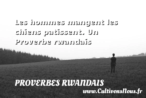 Les hommes mangent les chiens patissent. - Proverbes rwandais - Proverbes philosophiques