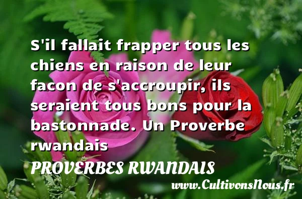 S’il fallait frapper tous les chiens en raison de leur facon - Proverbes rwandais - Proverbes philosophiques