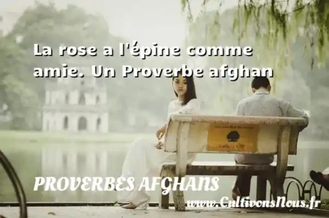 La rose a l épine comme amie. Un Proverbe afghan PROVERBES AFGHANS