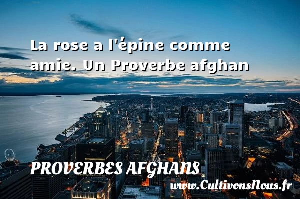 La rose a l’épine comme amie. - Proverbes afghans - Proverbe rose