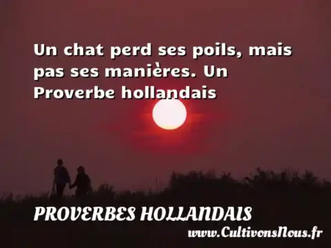 Un chat perd ses poils, mais pas ses manières. Un Proverbe hollandais PROVERBES HOLLANDAIS