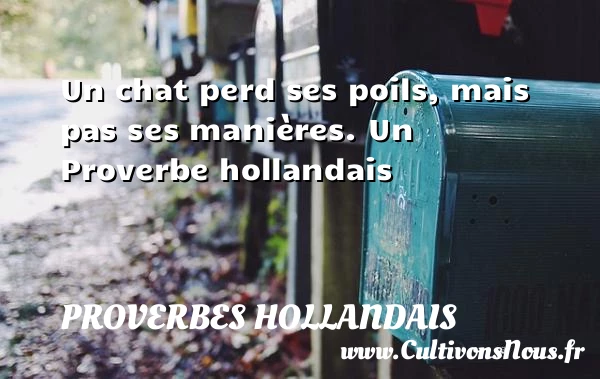 Un chat perd ses poils, mais pas ses - Proverbes hollandais - Proverbes philosophiques