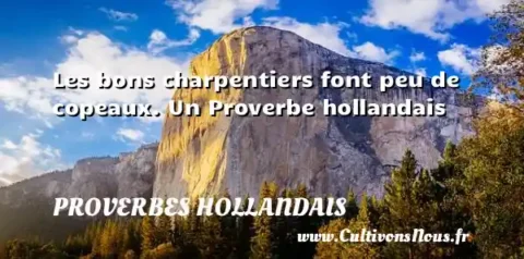 Les bons charpentiers font peu de copeaux. Un Proverbe hollandais PROVERBES HOLLANDAIS