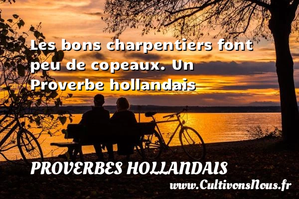 Les bons charpentiers font peu de copeaux. - Proverbes hollandais - Proverbes philosophiques