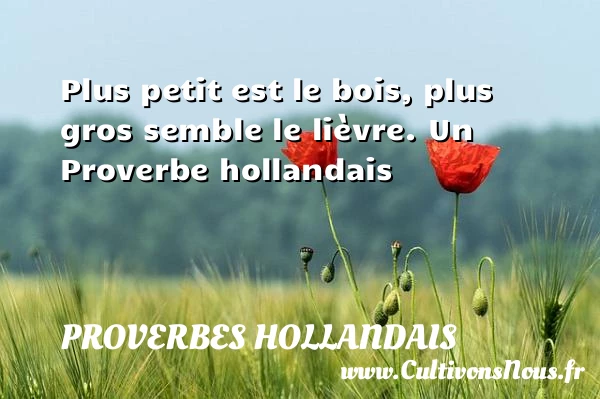 Plus petit est le bois, plus gros semble le - Proverbes hollandais - Proverbe bois