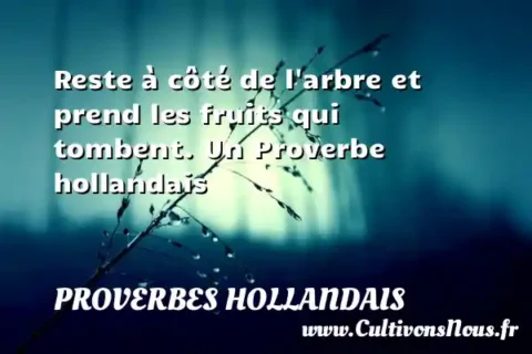 Reste à côté de l arbre et prend les fruits qui tombent. Un Proverbe hollandais PROVERBES HOLLANDAIS