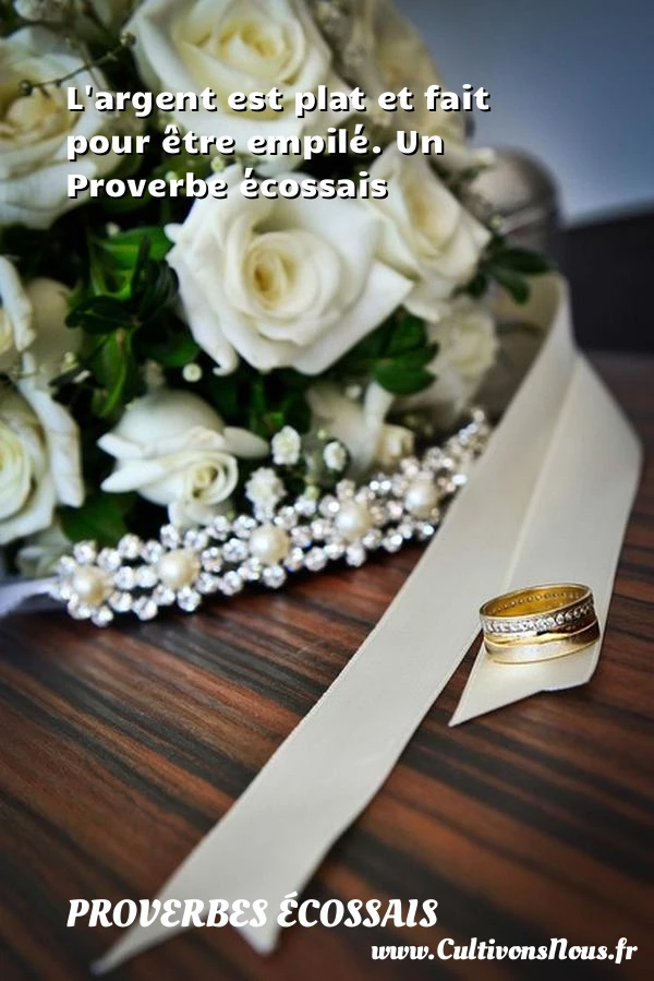 L’argent est plat et fait pour être empilé. - Proverbes écossais - Proverbes fun