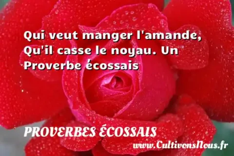 Qui veut manger l amande, Qu il casse le noyau. Un Proverbe écossais PROVERBES ÉCOSSAIS