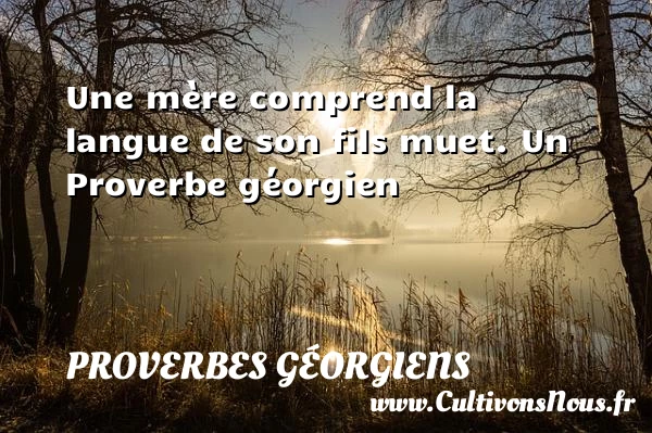 Une mère comprend la langue de son fils - Proverbes géorgiens - Proverbes fun