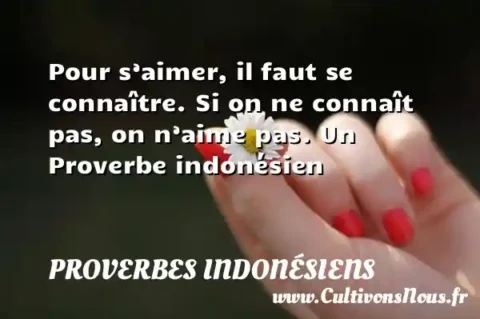 Pour s’aimer, il faut se connaître. Si on ne connaît pas, on n’aime pas. Un Proverbe indonésien PROVERBES INDONÉSIENS