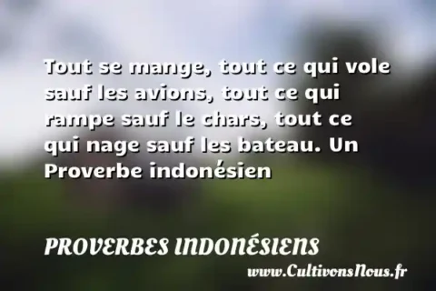 Tout se mange, tout ce qui vole sauf les avions, tout ce qui rampe sauf le chars, tout ce qui nage sauf les bateau. Un Proverbe indonésien PROVERBES INDONÉSIENS