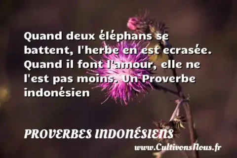 Quand deux éléphans se battent, l herbe en est ecrasée. Quand il font l amour, elle ne l est pas moins. Un Proverbe indonésien PROVERBES INDONÉSIENS