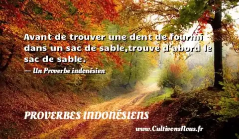 Avant de trouver une dent de fourmi dans un sac de sable,trouve d abord le sac de sable. - Un Proverbe indonésien PROVERBES INDONÉSIENS