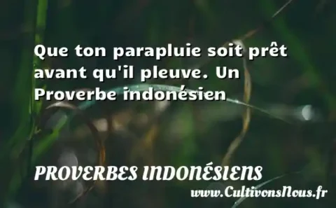 Que ton parapluie soit prêt avant qu il pleuve. Un Proverbe indonésien PROVERBES INDONÉSIENS