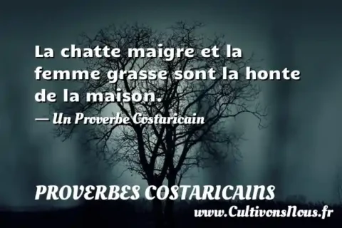 La chatte maigre et la femme grasse sont la honte de la maison. - Un Proverbe Costaricain PROVERBES COSTARICAINS