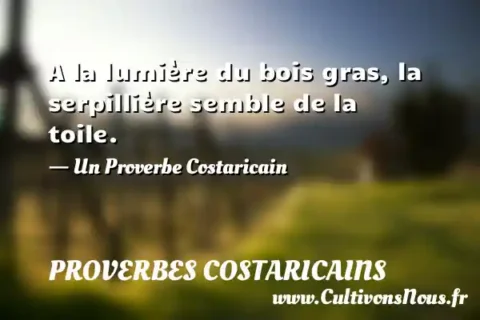 A la lumière du bois gras, la serpillière semble de la toile. - Un Proverbe Costaricain PROVERBES COSTARICAINS