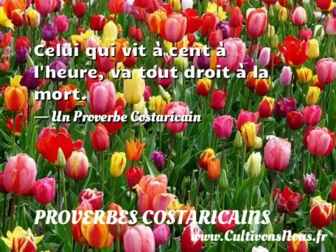 Celui qui vit à cent à l heure, va tout droit à la mort. - Un Proverbe Costaricain PROVERBES COSTARICAINS