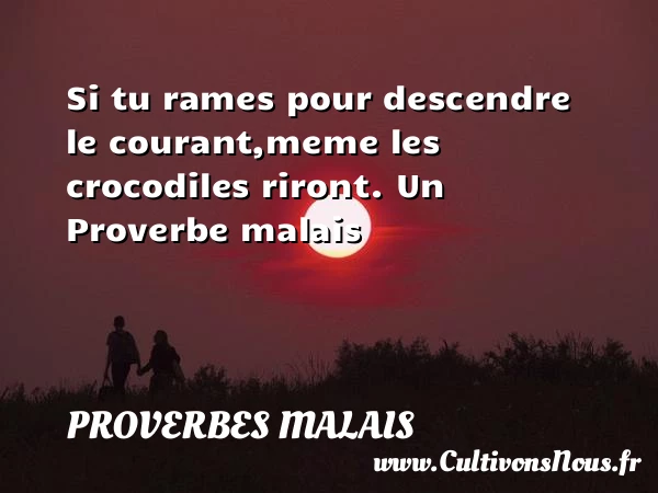 Si tu rames pour descendre le courant,meme les - Proverbes malais - Proverbes philosophiques