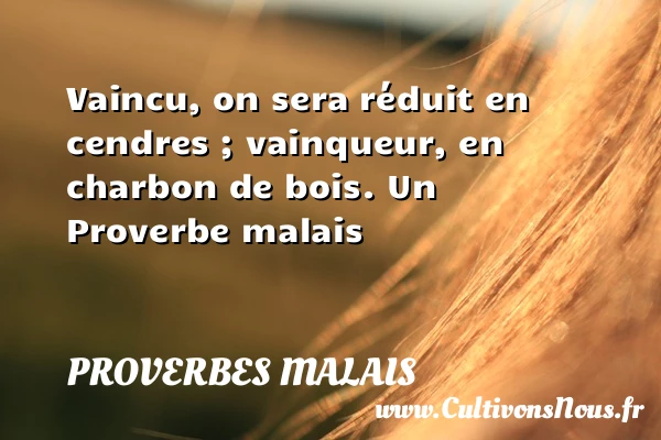 Vaincu, on sera réduit en cendres ; vainqueur, - Proverbes malais - Proverbe bois