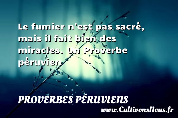 Le fumier n’est pas sacré, mais il fait - Proverbes péruviens - Proverbes philosophiques