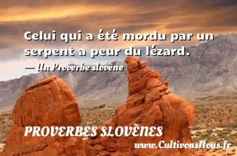 Celui qui a été mordu par un serpent a peur du lézard. - Un Proverbe slovène PROVERBES SLOVÈNES