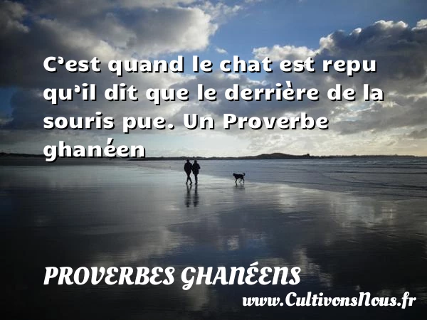 C’est quand le chat est repu qu’il dit - Proverbes ghanéens - Proverbes Drôles