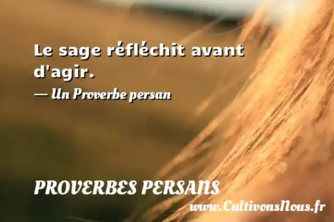 Le sage réfléchit avant d agir. - Un Proverbe persan PROVERBES PERSANS