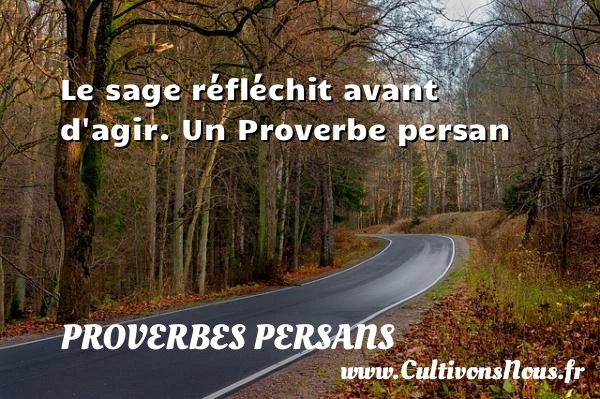 Le sage réfléchit avant d’agir. - Proverbes persans - Proverbes agir