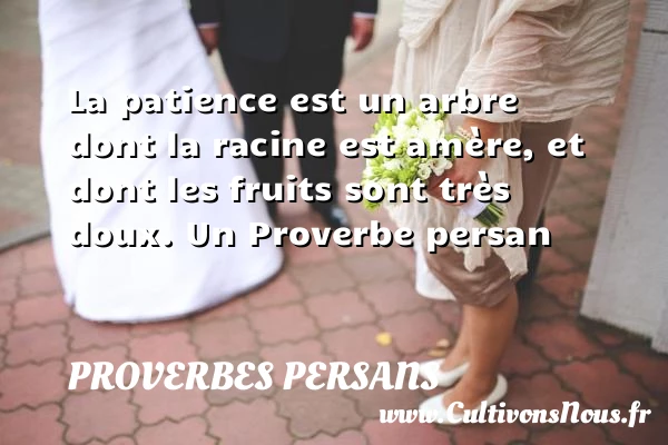 La patience est un arbre dont la racine est amère, - Proverbes persans