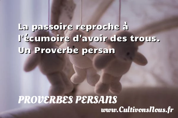 La passoire reproche à l’écumoire d’avoir des trous. - Proverbes persans
