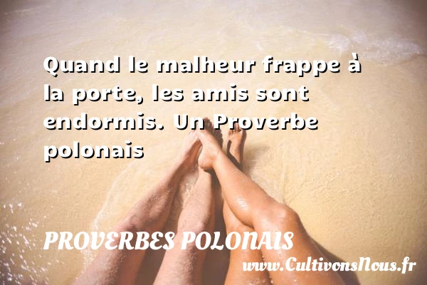 Quand le malheur frappe à la porte, les amis - Proverbes polonais - Proverbes ami - Proverbes philosophiques