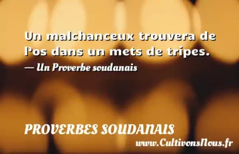 Un malchanceux trouvera de l’os dans un mets de tripes. - Un Proverbe soudanais PROVERBES SOUDANAIS