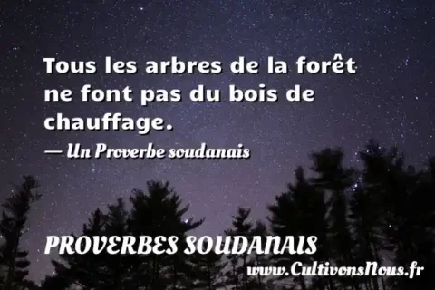 Tous les arbres de la forêt ne font pas du bois de chauffage. - Un Proverbe soudanais PROVERBES SOUDANAIS