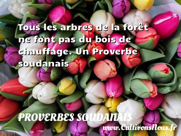 Tous les arbres de la forêt ne font pas du bois de - Proverbes soudanais - Proverbes philosophiques