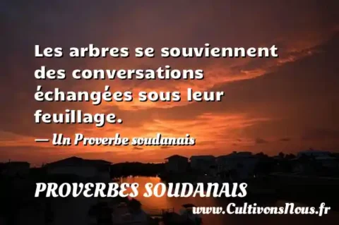 Les arbres se souviennent des conversations échangées sous leur feuillage. - Un Proverbe soudanais PROVERBES SOUDANAIS