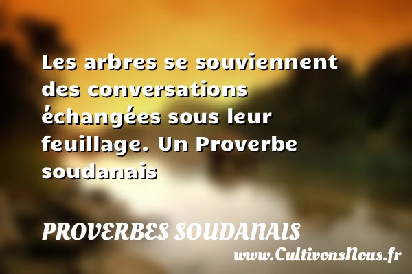 Les arbres se souviennent des conversations échangées sous leur - Proverbes soudanais - Proverbes philosophiques