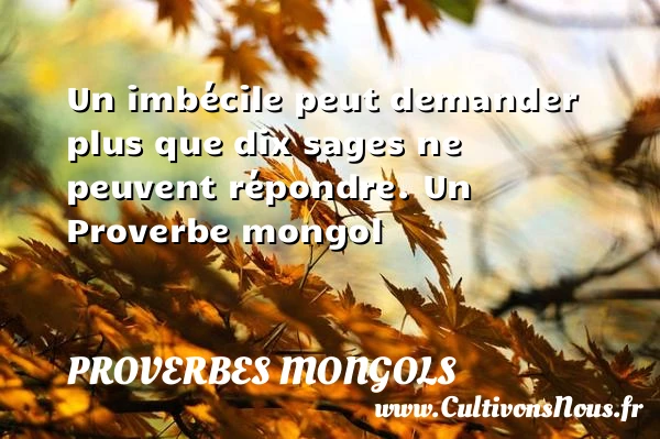 Un imbécile peut demander plus que dix sages ne - Proverbes mongols - Proverbes philosophiques
