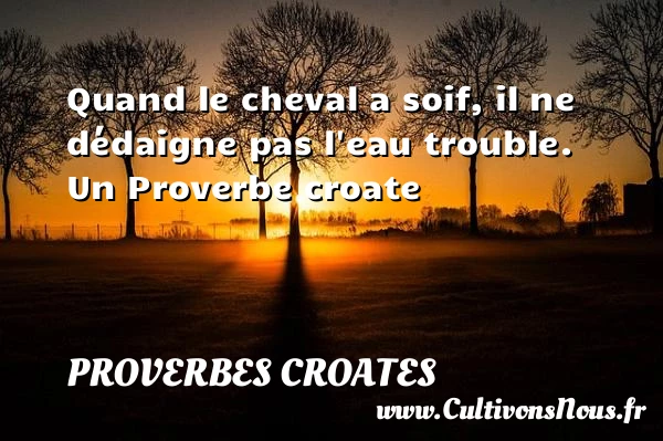 Quand le cheval a soif, il ne dédaigne pas - Proverbes croates - Proverbes fun - Proverbes philosophiques