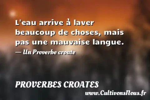 L eau arrive à laver beaucoup de choses, mais pas une mauvaise langue. - Un Proverbe croate PROVERBES CROATES