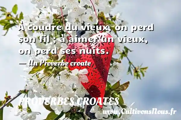 À coudre du vieux, on perd son fil ; à aimer un vieux, on perd ses nuits. - Un Proverbe croate PROVERBES CROATES