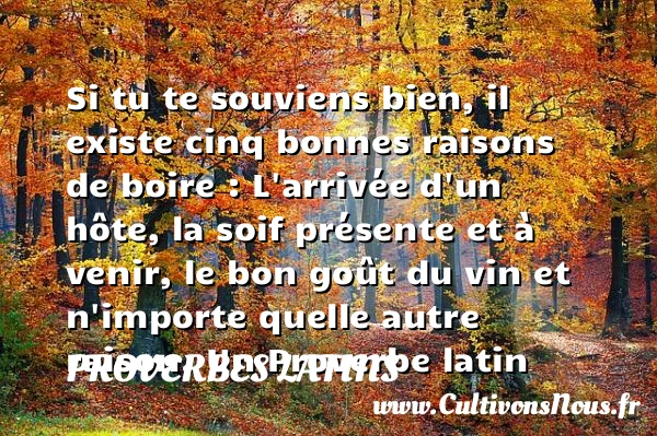 Si tu te souviens bien, il existe cinq bonnes - Proverbes latins