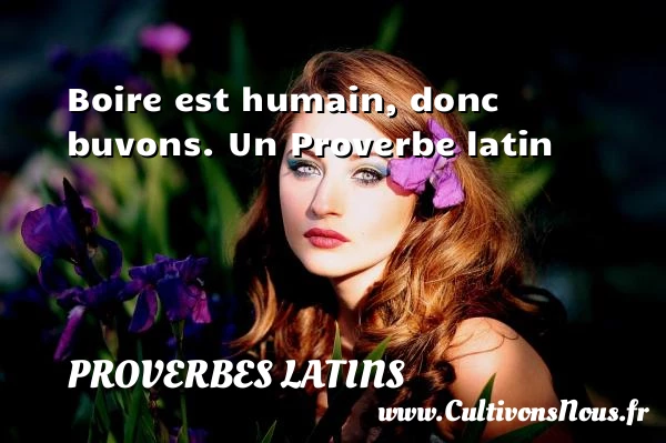 Boire est humain, donc buvons. - Proverbes latins - Proverbe boire