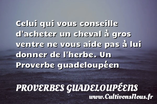 Celui qui vous conseille d’acheter un cheval à gros ventre ne vous - Proverbes guadeloupéens - Proverbe conseil