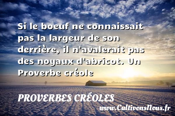Si le boeuf ne connaissait pas la largeur - Proverbes créoles